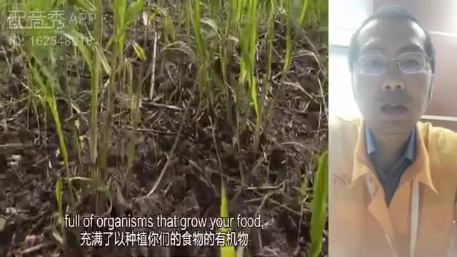 Corp Fin 陈麟+我是土地