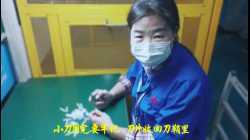 018.SHH-MD-F-张朝东