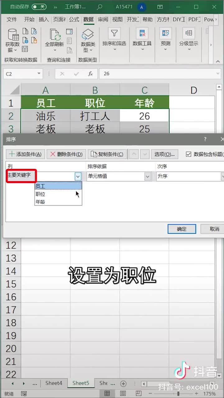 Excel自定义排序